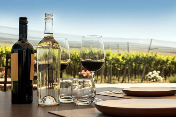 Chilean wines