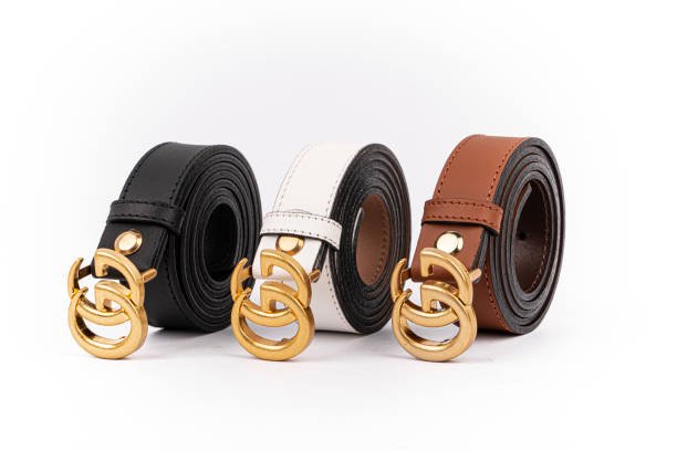 Gucci Style Belts