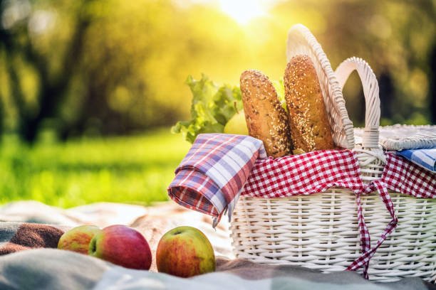 picnic lunch