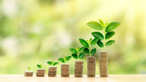 Growing investment concept Building wealth