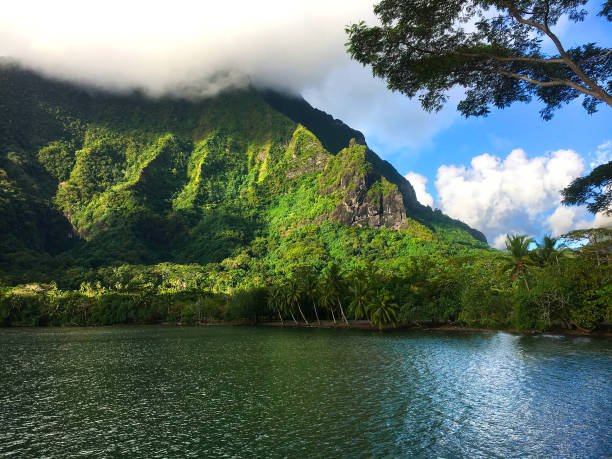 Tahitis Free Natural Wonders
