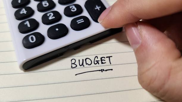 financial budget planning. financial wellness concept